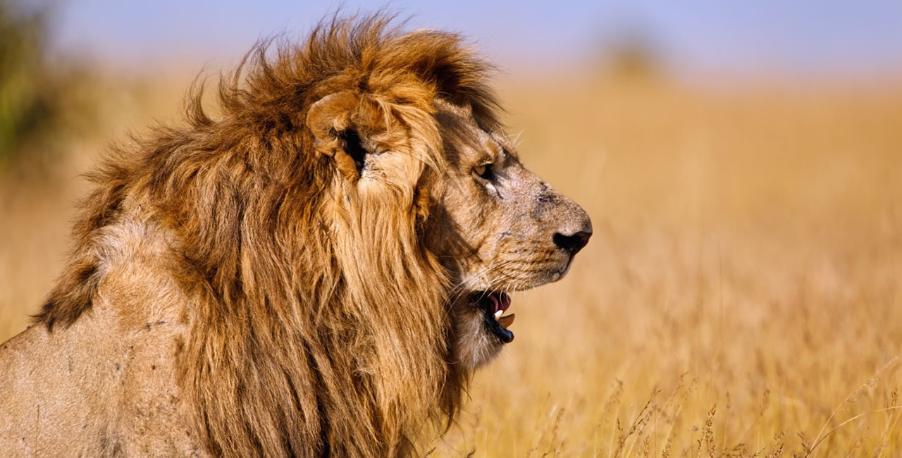 4 dicas para manter a boa imagem de seu consultório 4 dicas para manter a boa imagem de seu consultório